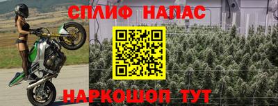 a pvp Рыбинск