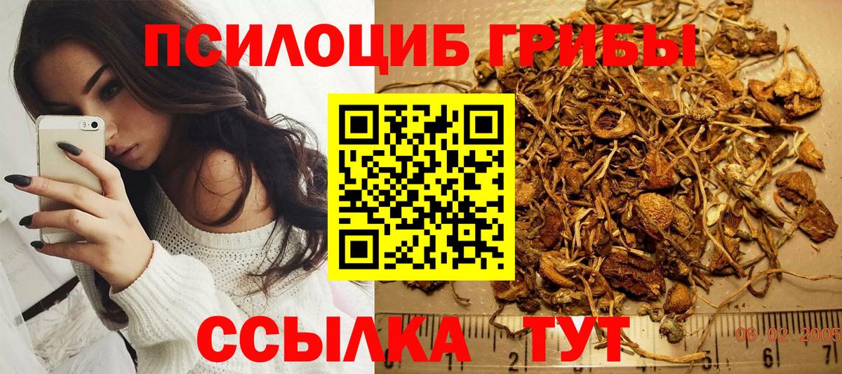 Галлюциногенные грибы мицелий  Вход с VPN  закладки  Петропавловск-Камчатский 