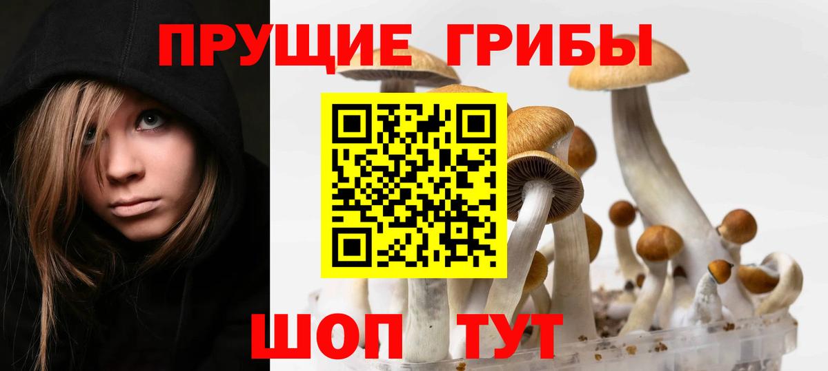 Псилоцибиновые грибы прущие грибы Петропавловск-Камчатский